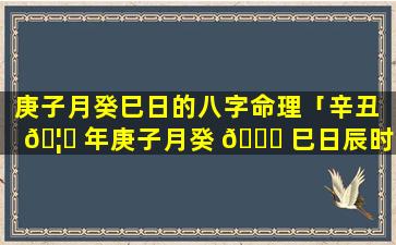 庚子月癸巳日的八字命理「辛丑 🦋 年庚子月癸 🐛 巳日辰时」
